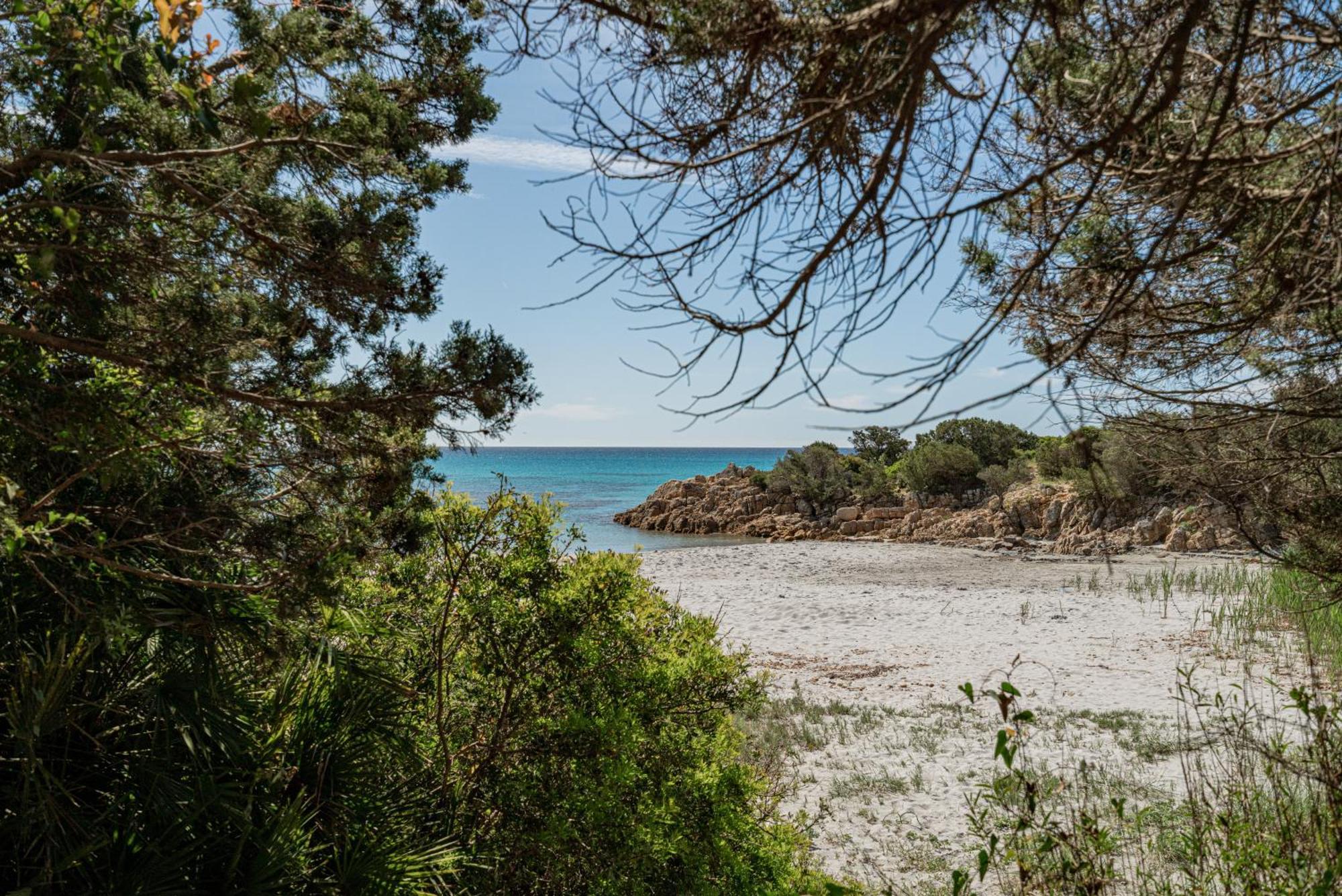 Villa Casa Donatella, In Riva Al Mare! Cala Liberotto Exterior foto